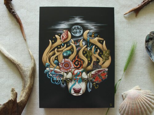 Signed A4 Digital Print of Illustration “The Stag’s Head” with antler paua, scallop shell and grass photo props