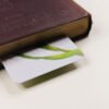 Blade of green grass, wheat and poppy flower and buds painting on a bookmark protruding from old hardcover bound book.
